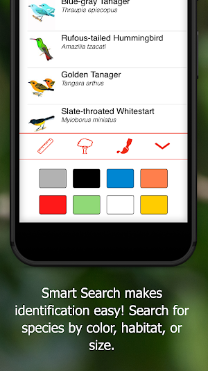 Birds of Ecuador Screenshot 2