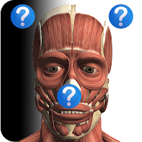 Anatomy Quiz