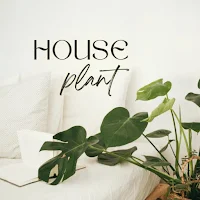 House Plants