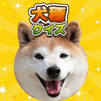犬種クイズ！かわいい写真付き犬図鑑！犬の雑学・常識・知識教養