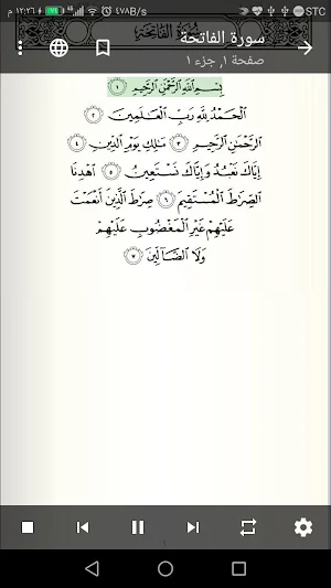 القرآن الكريم Screenshot 0