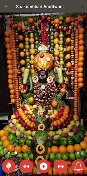 Shakumbhari Maa Amritwani Screenshot 1