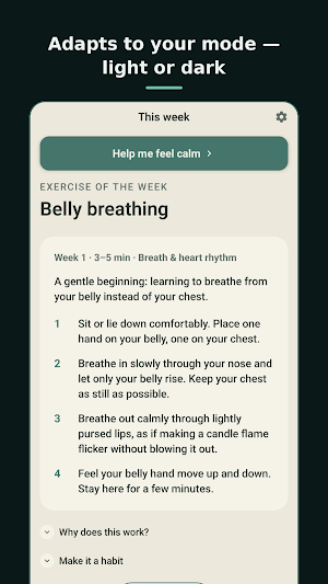 Karuma: Nervous System Calm Screenshot 2