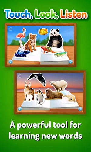 Zoo Animals Screenshot 1