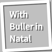 Book, With Buller in Natal