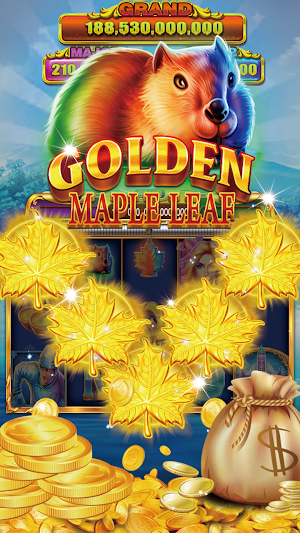 Cash Carnival: 2021 New Casino Slots Screenshot 1