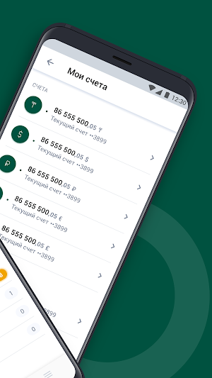 Onlinebank для бизнеса Screenshot 1