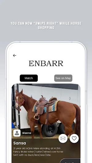 Enbarr Screenshot 2
