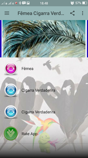 Canto Fêmea Cigarra de Verdade Screenshot 2
