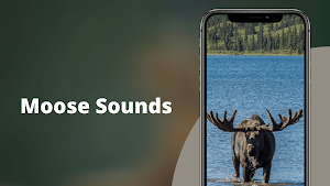 Moose Sounds Screenshot 0