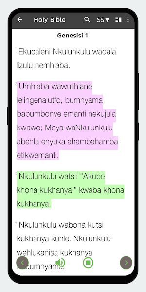 Siswati Bible Offline Screenshot 1