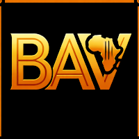 BAV Network