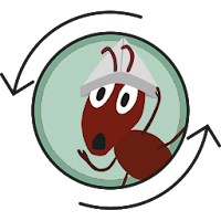 Bottled Ant