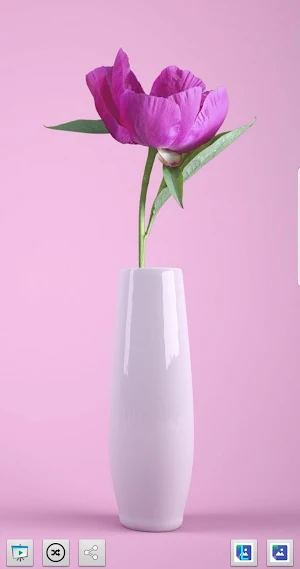 Natures Best HD Mobile Wallpapers Screenshot 0