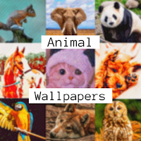 Animal Wallpapers Walpaper App
