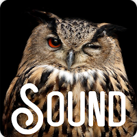 Owl Bird Soundboard Ringtones