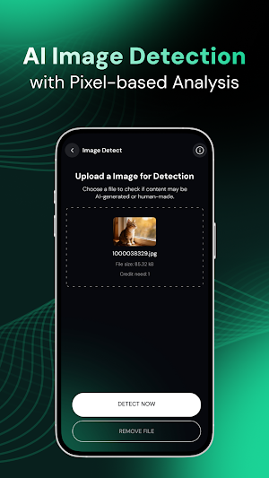 DetectEx AI- Content Detector Screenshot 3