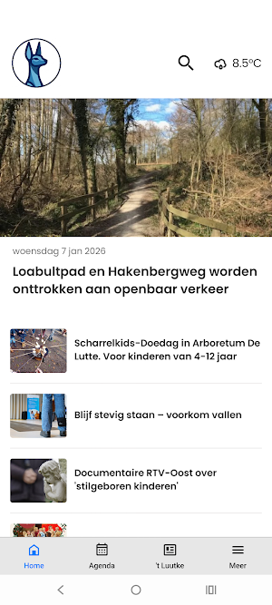 De Lutte Screenshot 0