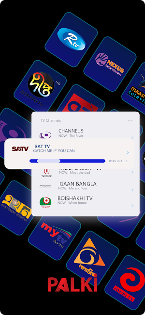 Palki TV Screenshot 0