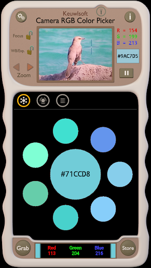 Camera RGB Color Picker Screenshot 1