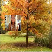 Fall Photo Frames 2023