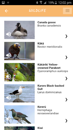 Abel Tasman Screenshot 3
