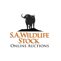 SA Wildlife Stock