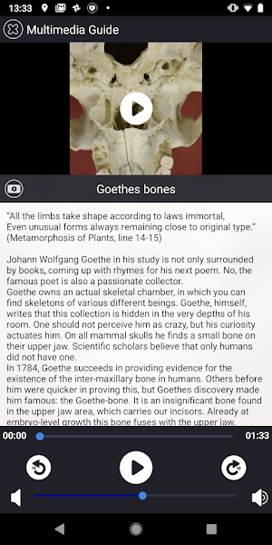Goethe-Museum Screenshot 2