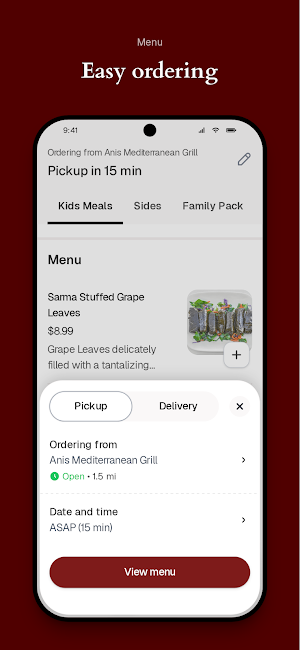 Anis Mediterranean Grill Screenshot 2