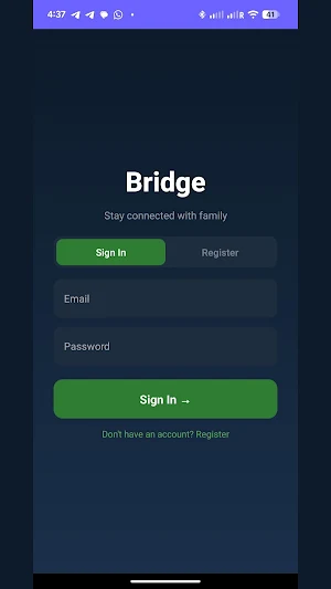 Bridge Screenshot 2