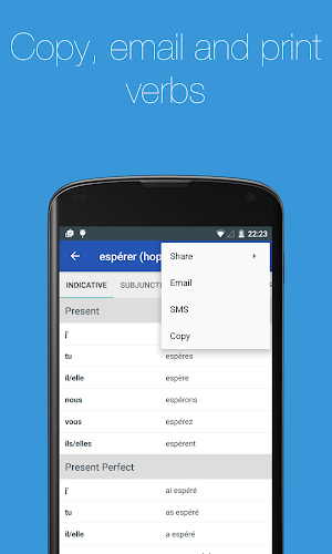 French Verb Conjugator Screenshot 3