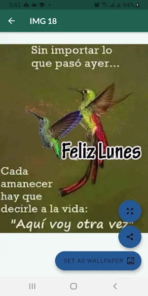Saludos diarios hermosos Screenshot 0