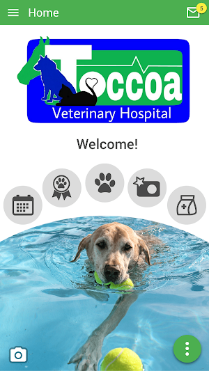 Toccoa Vet Screenshot 0