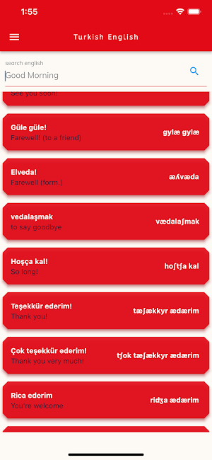 Turkish English Dictionary Screenshot 1