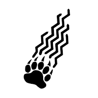 Bear Machines