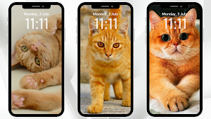 Orange Cat Wallpaper Screenshot 1