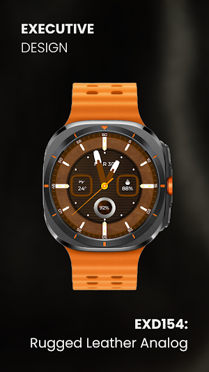 EXD154: Rugged Leather Analog Screenshot 2