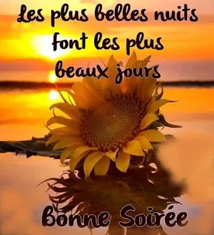 Bonne Soirée Screenshot 0