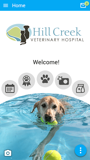 Hill Creek Vet Screenshot 0
