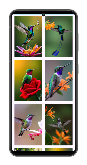 Bird Wallpapers Screenshot 1