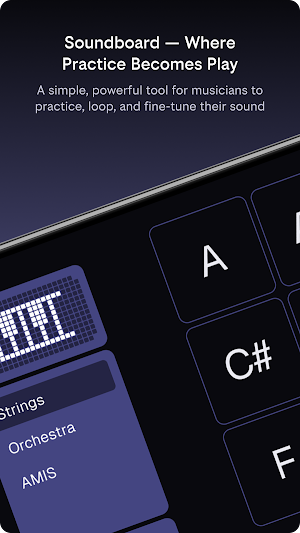 Bandmate chromatic tuner app S Screenshot 0