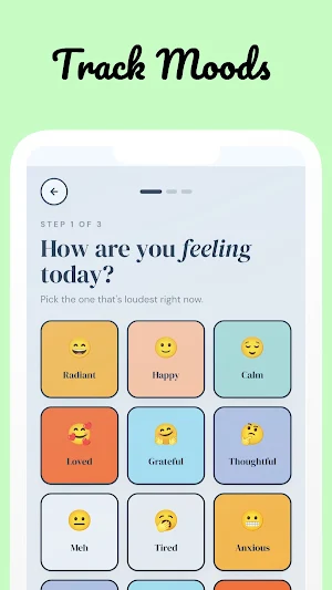 EchoDiary: Daily Journal Screenshot 1