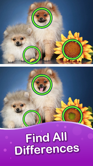 Differences: Find Differences Screenshot 0
