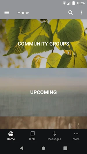 Bayou City Cypress Screenshot 0