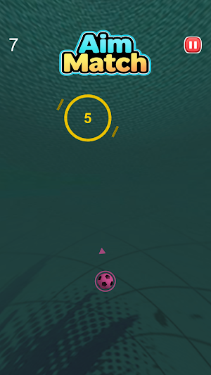 AimMatch Screenshot 2