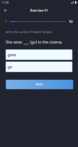 English Grammar Exercises Screenshot 3