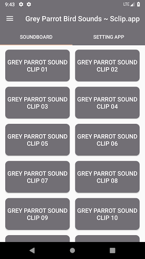 Grey Parrot Bird Sound Collections ~ Sclip.app Screenshot 0