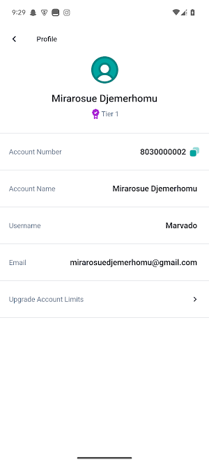Shanono Mobile Screenshot 2