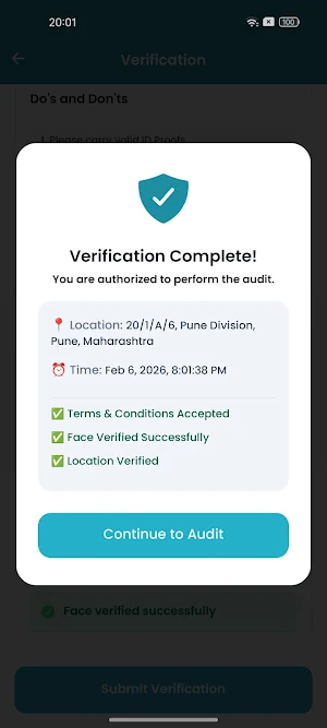 Protiviti Audit Screenshot 2
