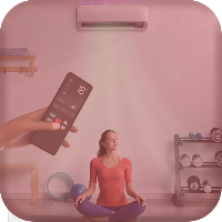 Remote for Polytron AC